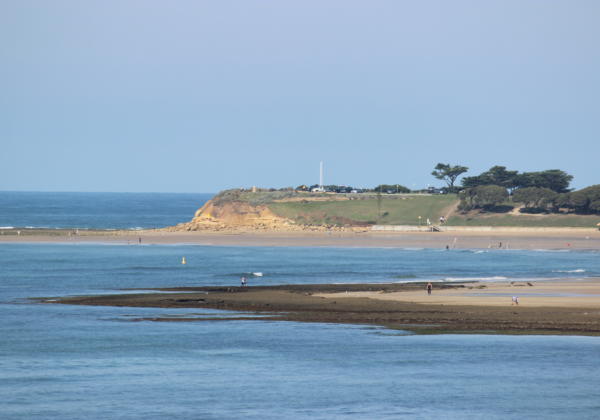 Img 4510