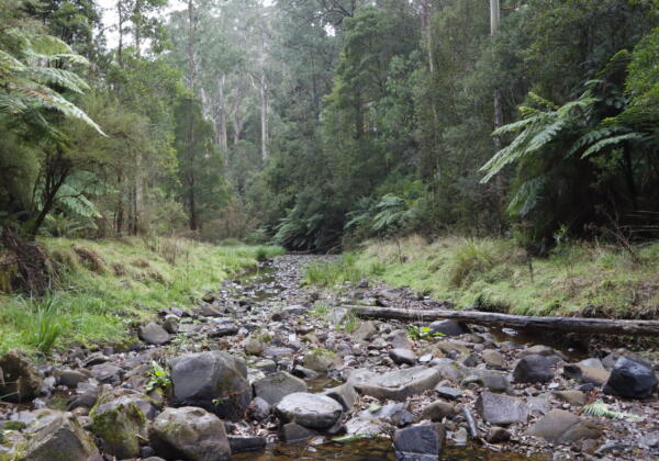 creek bed photo from an outing providedSTA care Colac. Safe Solutions Care